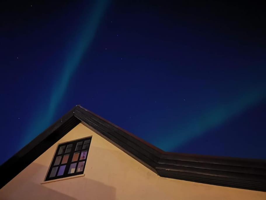 Icelandic Art Garden Villa W. Parking In Centre City Reykjavík Dış mekan fotoğraf
