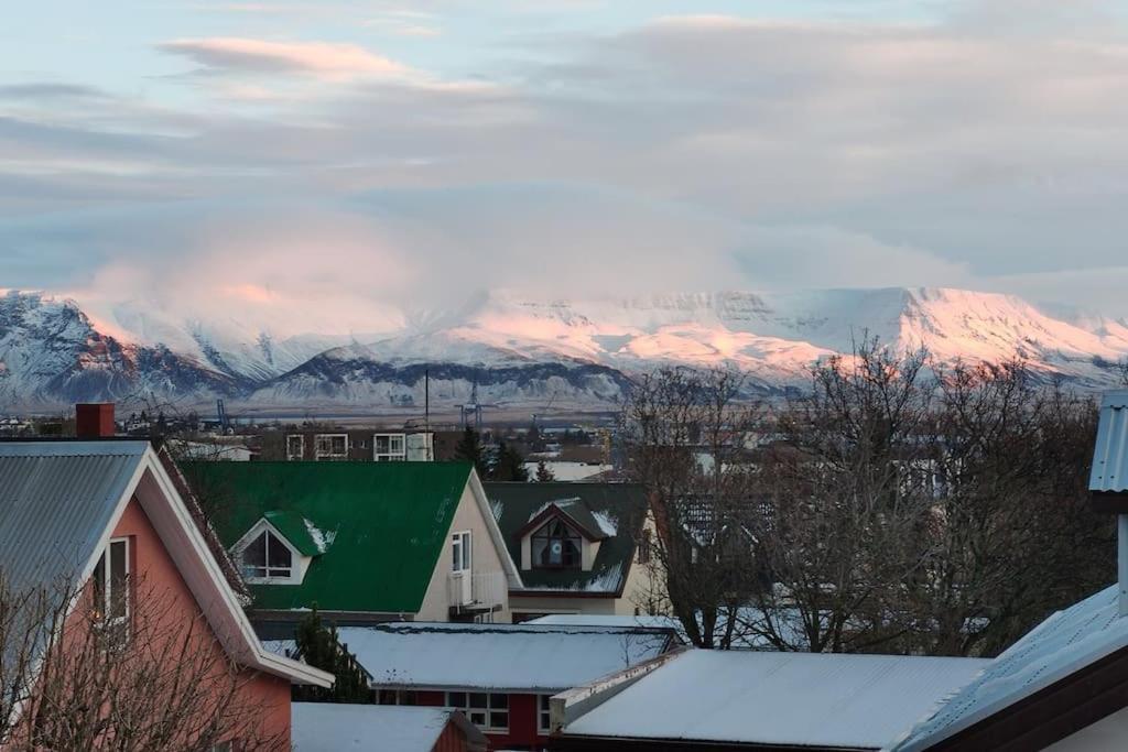 Icelandic Art Garden Villa W. Parking In Centre City Reykjavík Dış mekan fotoğraf